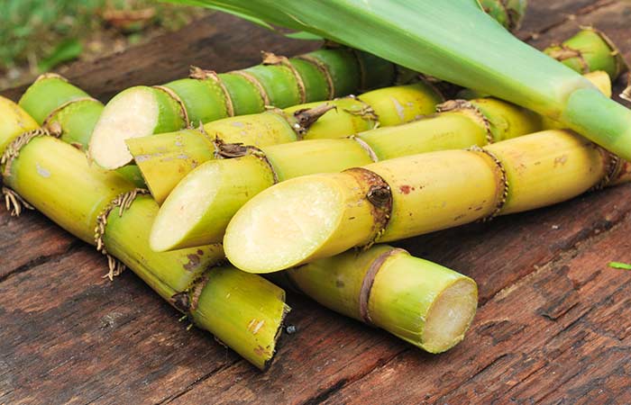 sugarcane and sugarcane products